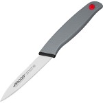 Нож для чистки овощей и фруктов; сталь нерж.; L=10см; металлич., серый