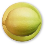 Пукли «Лимон»[12шт]; пластик; D=15мм; желт.