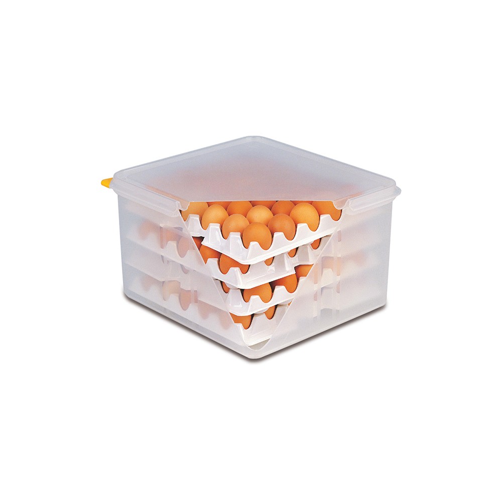 Лоток для контейнера для хранения яиц (для арт 82419)[10шт]; полипроп.; H=65, L=285, B=285мм