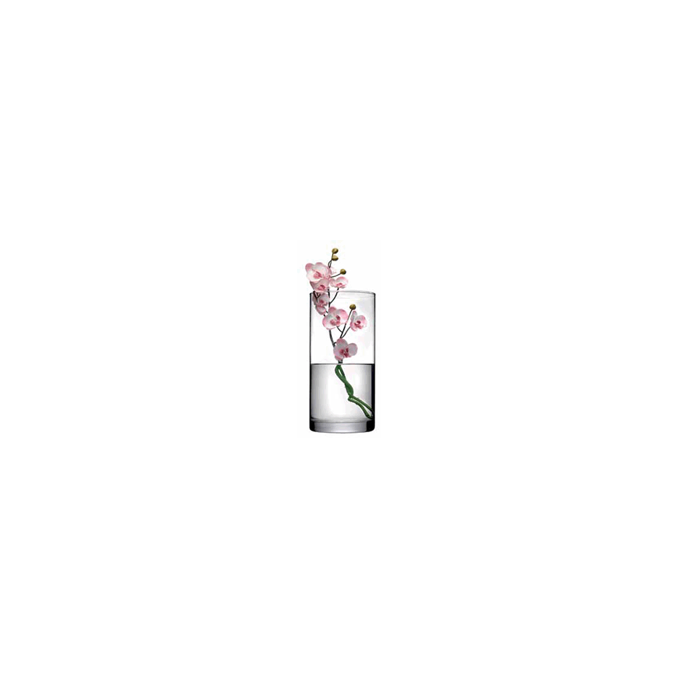 Ваза для цветов «Ботаника»; стекло; H=26см; прозр.