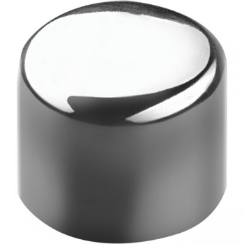 Крышка-заглушка для сифона; сталь нерж.; D=22мм; металлич.