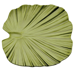 Блюдо для подачи «Лист»; пластик; H=45, L=420, B=420мм; зелен.