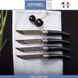 Набор ножей Table Chic для стейка, 4 шт, сталь Sandvik 12C27, рукоять эбеновое дерево, Opinel