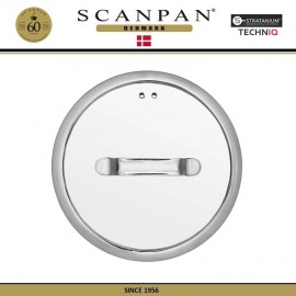 Крышка TechnIQ, D 22 см, жаропрочное стекло, сталь 18/10, SCANPAN, Дания