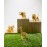 Формы для печенья 3d, Лев, серия Safari, Suck Uk