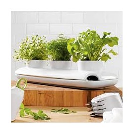 Горшок для зелени Herb тройной, H 13,5 см, L 48 см, W 19 см, керамика, серия Herbs and spices, SAGAFORM