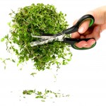 Ножницы Herb, L 17 см, сталь нержавеющая, серия Herbs and spices, SAGAFORM