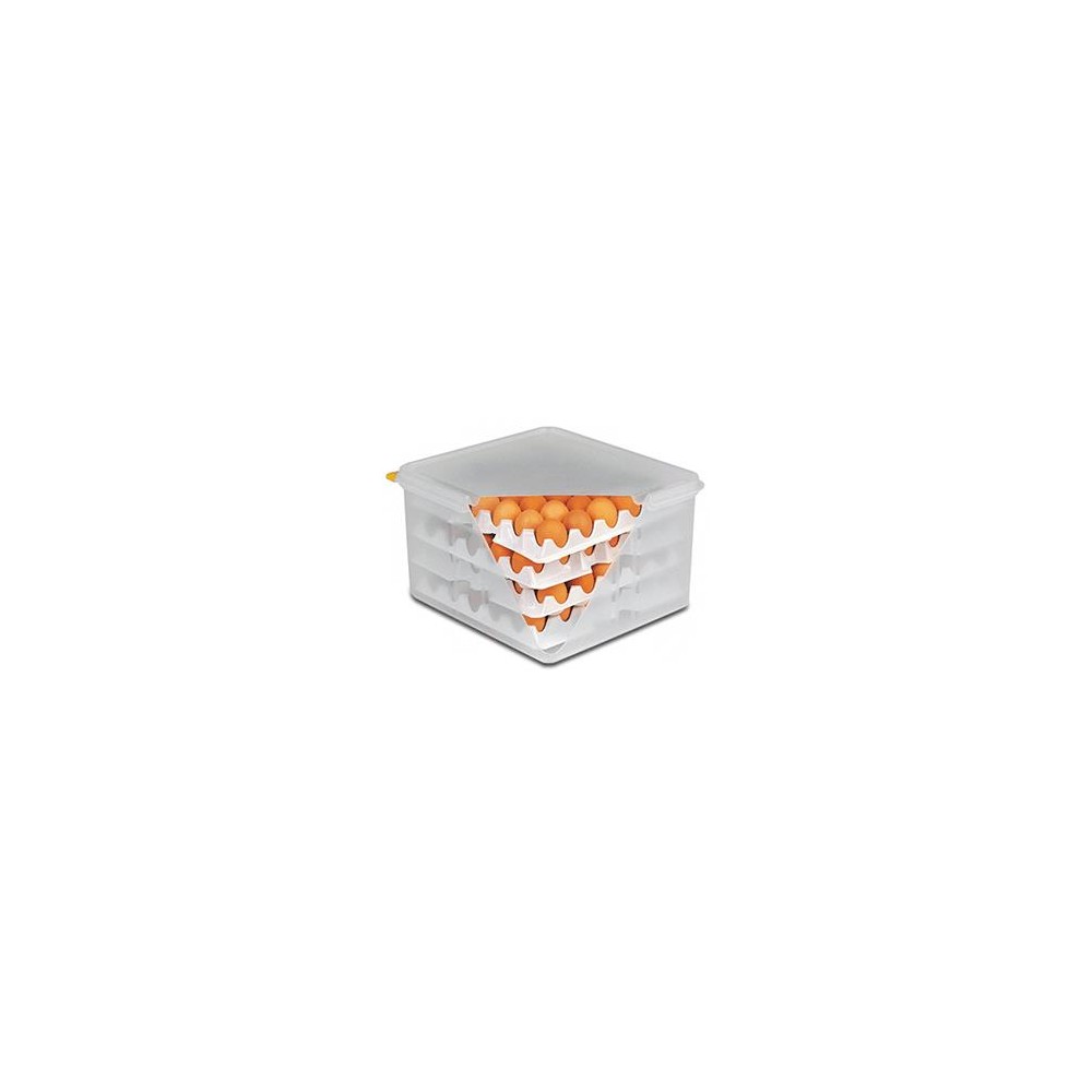 Контейнер для хранения яиц с крышкой +8 лотков, H 20 см, L 35,4 см, полиэтилен, APS