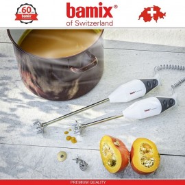 BAMIX Professional Gastro 200 Grey блендер, Швейцария