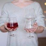 70704 Набор бокалов для вина 2 шт, стекло, D 10 см, H 15 см, Magisso