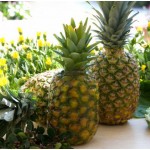 Свеча АНАНАС, H 26 см, D 10 см, серия ANANAS