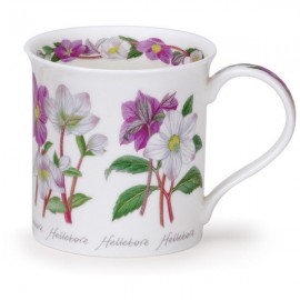 Кружка Dunoon "Морозник.Бьютшир" 300мл, Фарфор костяной, Dunoon, Великобритания Кружка Dunoon "Морозник.Бьютшир" 300мл, Фарфор костяной, Dunoon, Великобритания