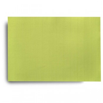 Салфетка подстановочная 33х48см "Линия" (зеленая), ПВХ, Harman, США
