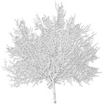 Набор из 6 подстановочных салфеток "Листья", серебро, ПВХ, Harman, США