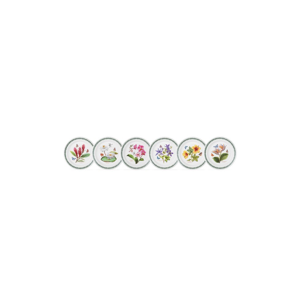 Набор тарелок обеденных Portmeirion "Ботанический сад. Экзотические цветы" 25см, 6 шт, Фаянс, Portmeirion, Великобритания