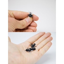 Канцелярские иголки fly pin, Suck UK