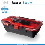Bento Box Appetit ланч-бокс с разделителем, черный-красный, Black+Blum