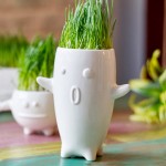 Набор для выращивания eco тиль, L 12,5 см, W 7 см, H 15 см, Экочеловеки