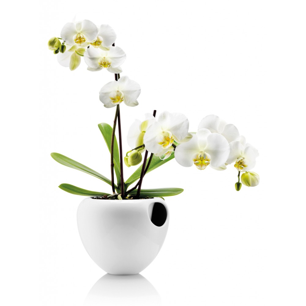 Горшок Orchid pot для орхидеи белый, Eva Solo