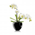 Горшок для орхидеи orchid pot черный, Eva Solo