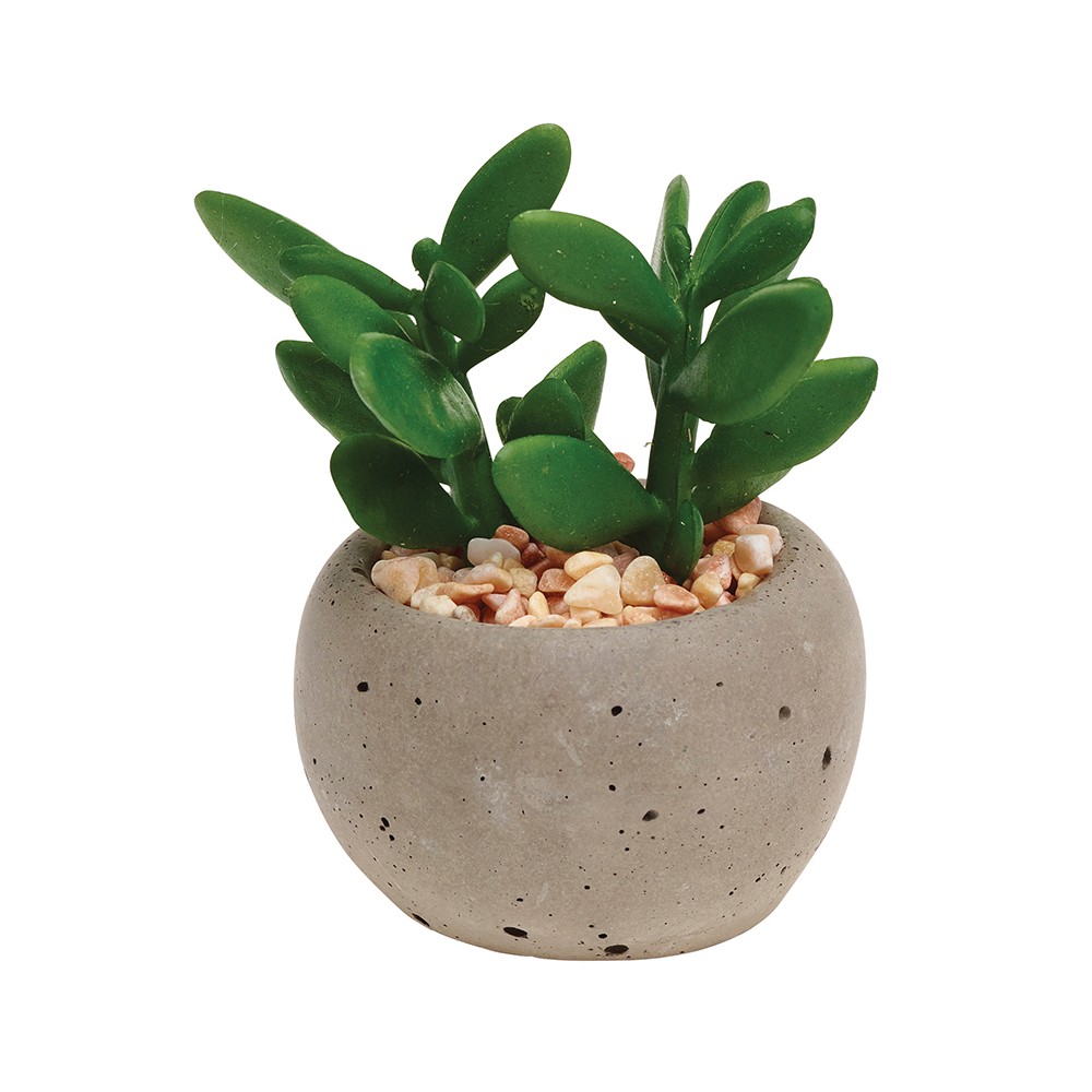 Горшок для растений succulent pot plant, Gardman