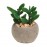 Горшок для растений succulent pot plant, Gardman