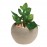 Горшок для растений succulent pot plant, Gardman