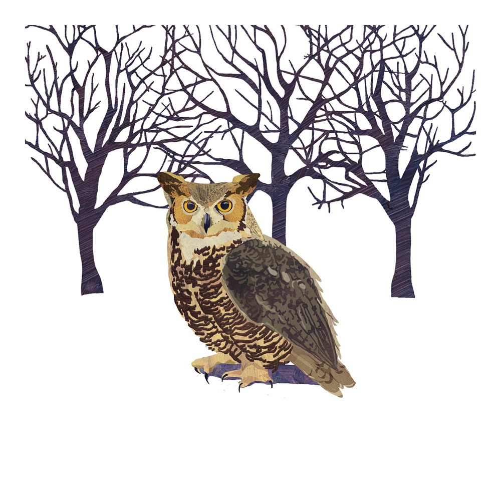 Салфетки winter owl 20 шт., Paperproducts Design