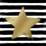 Салфетки star  and  stripes black/gold бумажные 20 шт., Paperproducts Design