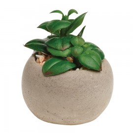 Горшок для растений succulent pot plant, Gardman