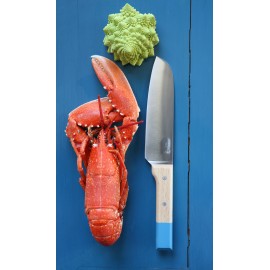 Нож кухонный Parallele Cантоку, лезвие 17 см, серо-голубой, Opinel