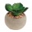 Горшок для растений succulent pot plant, Gardman