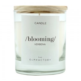 Свеча ароматическая blooming - вербена, 40 ч, Ambientair