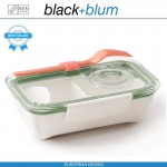 Bento Box Appetit ланч-бокс с разделителем, белый-оливковый, Black+Blum