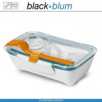 Bento Box Appetit ланч-бокс с разделителем, белый-бирюзовый, Black+Blum