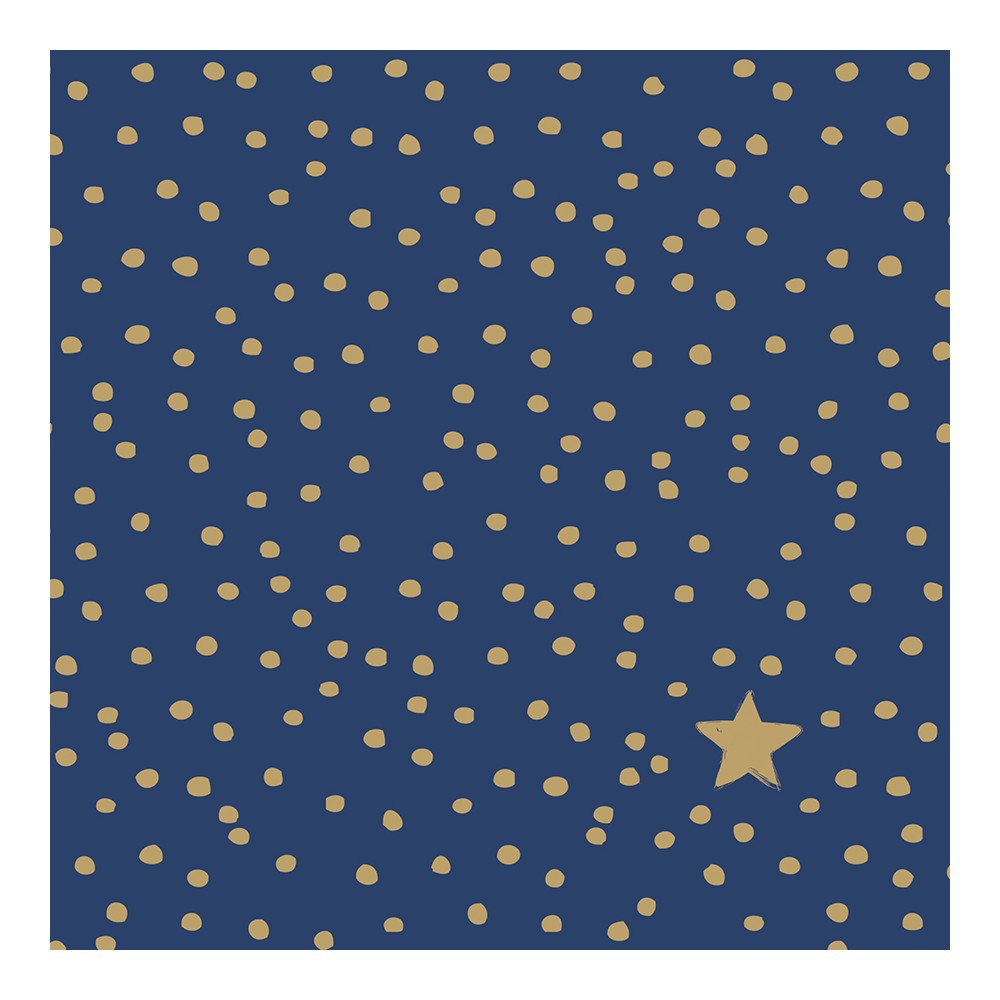 Салфетки бумажные The Star Money, 20 шт, синий, Paperproducts Design