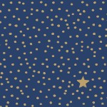 Салфетки бумажные The Star Money, 20 шт, синий, Paperproducts Design