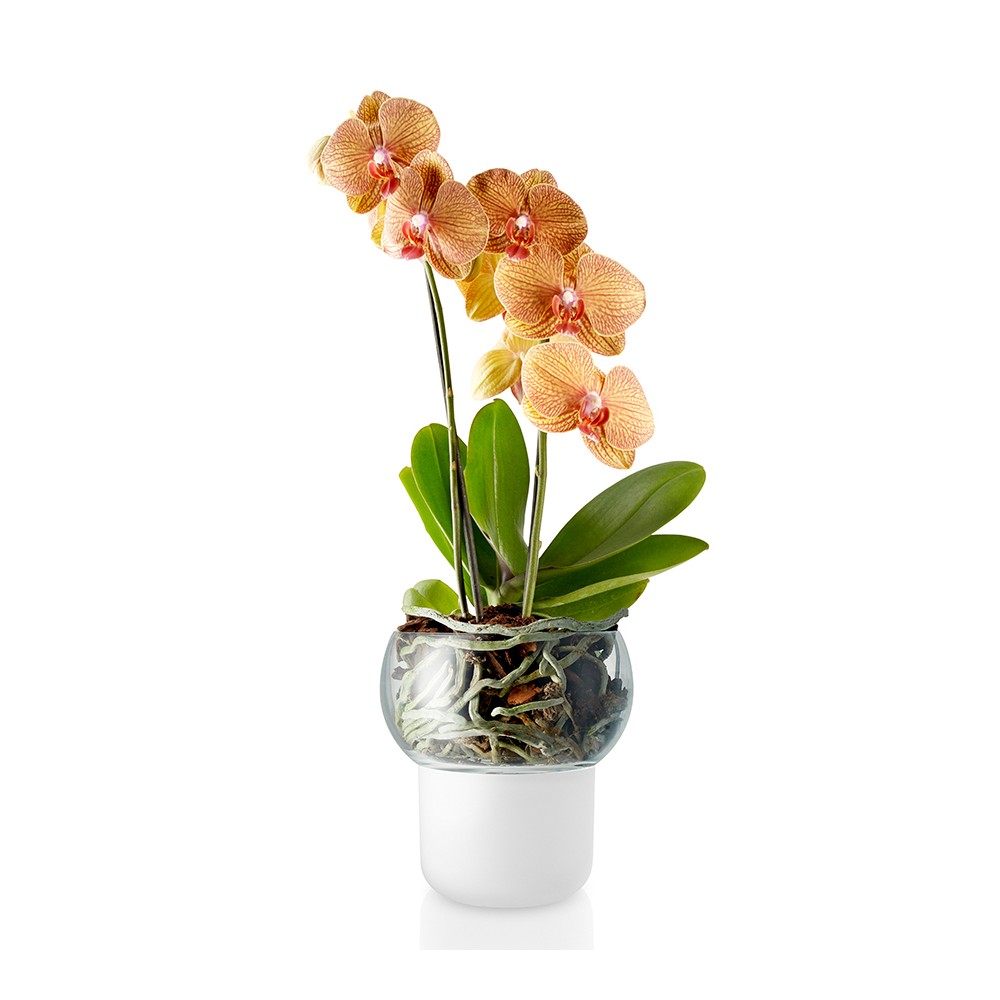 Горшок для орхидеи с функцией самополива 13 см, Eva Solo