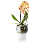 Горшок для орхидеи с функцией самополива d15 см белый, Eva Solo
