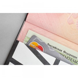 Обложка на паспорт new wallet - new impression; сделан из tyvek®, New wallet
