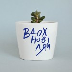 Набор для выращивания eco мини-кашпо «Вдохновляй», Экочеловеки