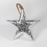 Фигурка декоративная snow star, подвесная, 15х15х2,5 см, EnjoyMe