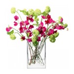 Ваза прямоугольная flower 22 см, LSA International