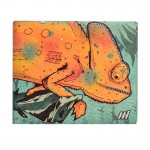 Бумажник chameleon, New wallet