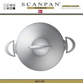 Антипригарная кастрюля Professional с крышкой, D 24 см, V 4 л, SCANPAN