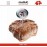 Термометр THERMO для запекания мяса, MOHA