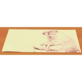 Подставка под горячее полимер, Полимер, L 40 см, W 30 см, H 0,1 см, Hans and Gretchen