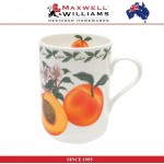 Кружка Apricot (абрикос) в подарочной упаковке, 300 мл, серия Orchard, Maxwell & Williams
