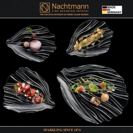 Набор дизайнерских блюд JIN YU, 2 шт, L 30 см, бессвинцовый хрусталь, Nachtmann