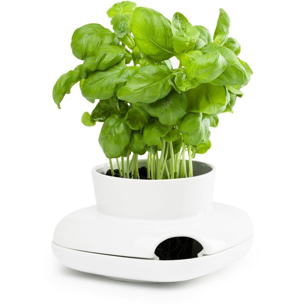 Горшок для зелени Herb малый, H 2 см, L 27,5 см, W 4 см, керамика, серия Herbs and spices, SAGAFORM